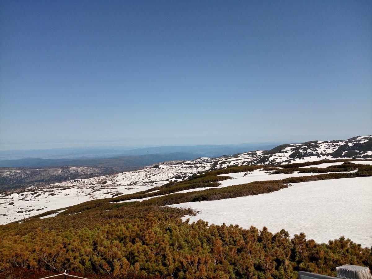Higashikawa K'S House Hokkaido - Asahidake Onsen Hostel מראה חיצוני תמונה